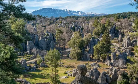 Saint Paul Yolu